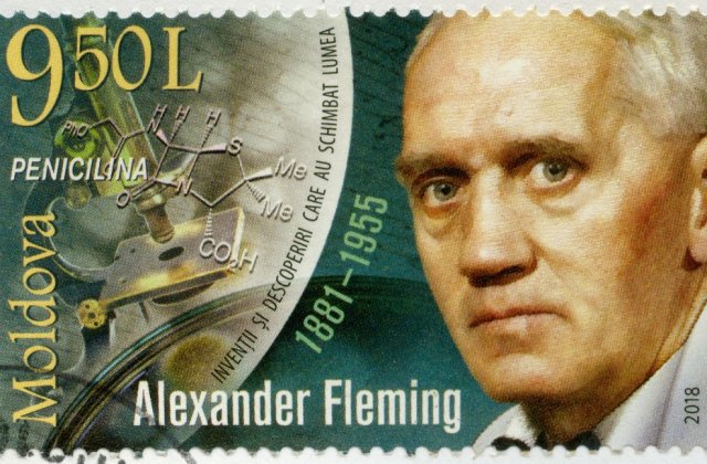 Cine a inventat penicilina? Descoperirea primului antibiotic din lume a salvat milioane de vieți