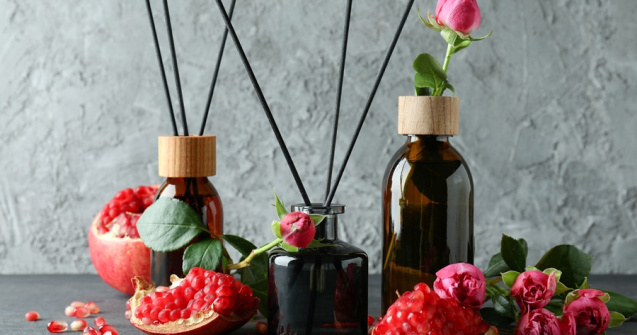 Detaliul discret care schimbă atmosfera din locuințe, birouri și spații publice