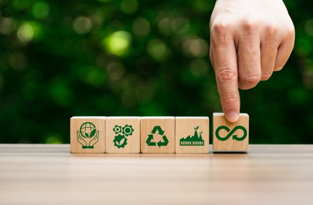 Materialele regenerabile și rolul lor &icirc;n economia circulară