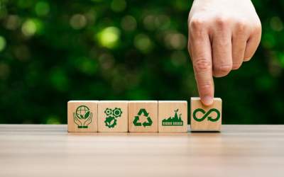 Materialele regenerabile și...