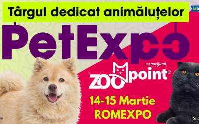 Noutățile din universul...