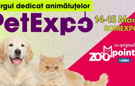 PetExpo 2026 – Două zile în care iubirea pentru animale devine spectacol