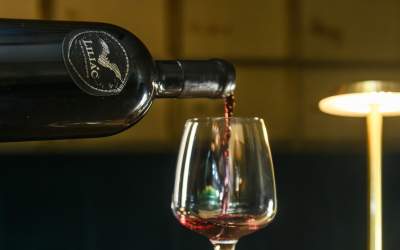 După o pauză de 5 ani, Crama...