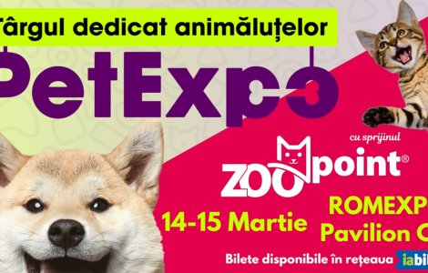 Produse smart și high-tech, concursuri cu premii și activități pentru animalele de companie, weekendul acesta la Romexpo