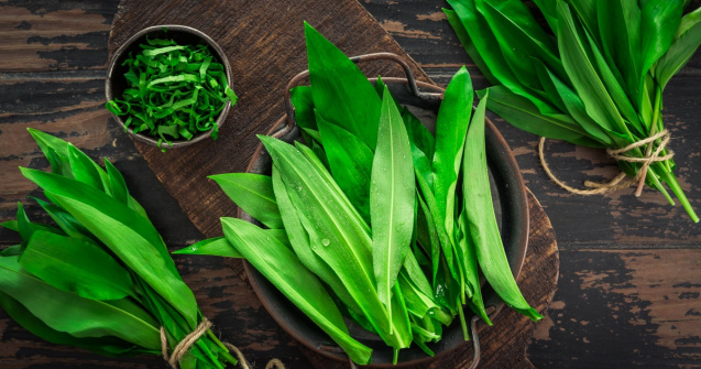 Pesto cu leurdă – energia verde a primăverii într-o rețetă simplă și hrănitoare