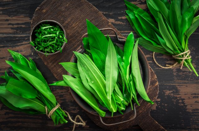 Pesto cu leurdă &ndash; energia verde a primăverii &icirc;ntr-o rețetă simplă și hrănitoare