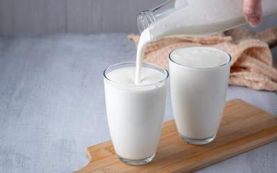 Sana din lapte de vacă sau...