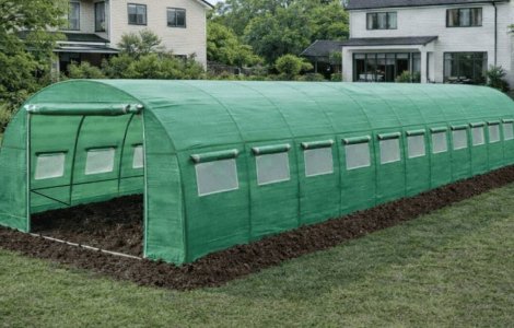 Culturi de primăvară în solar: oportunitate profitabilă pentru micii producători români