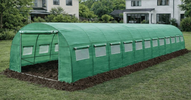 Culturi de primăvară în solar: oportunitate profitabilă pentru micii producători