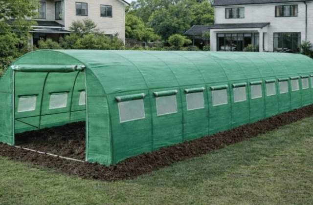 Culturi de primăvară în solar: oportunitate profitabilă pentru micii producători