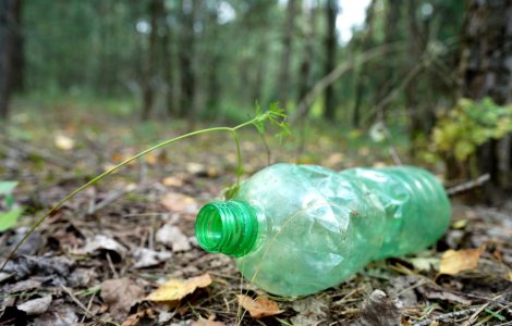 Cât timp rămâne un PET în natură și cu ce-l putem înlocui ușor?