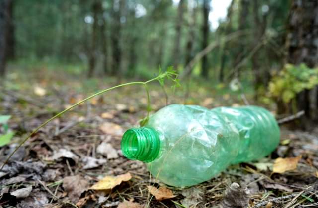 C&acirc;t timp răm&acirc;ne un PET &icirc;n natură și cu ce-l putem &icirc;nlocui ușor?