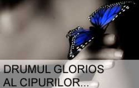 Drumul glorios al cipurilor care ajuta la ingrijirea bolnavilor