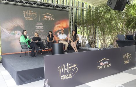 În România, se lansează prima inițiativă de sprijin psihologic dedicată medicilor veterinari