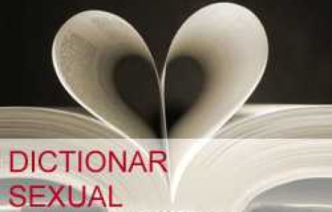 Dictionar sexual