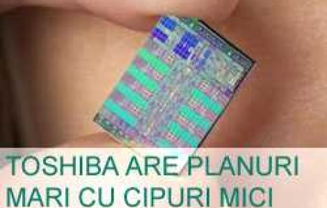 Toshiba are planuri mari cu cipuri mici