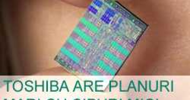Toshiba are planuri mari cu cipuri mici