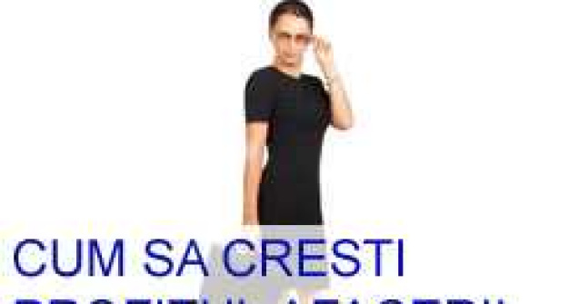 Cum sa cresti profitul afacerii tale