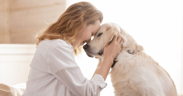Dietele veterinare pentru câini: când sunt recomandate?