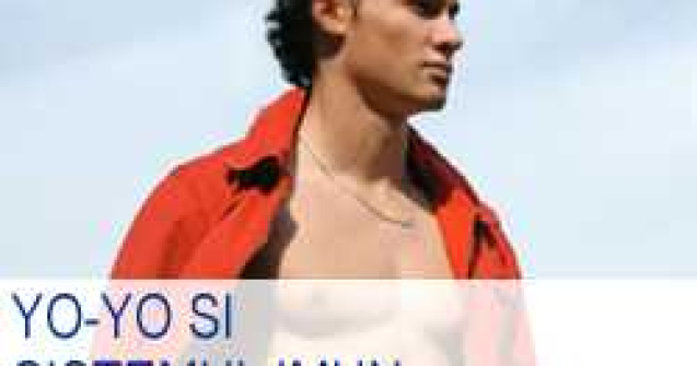 Yo-Yo si sistemul imun