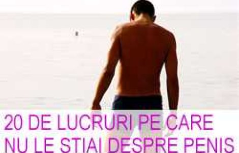 20 de lucruri pe care nu le stiai despre penis