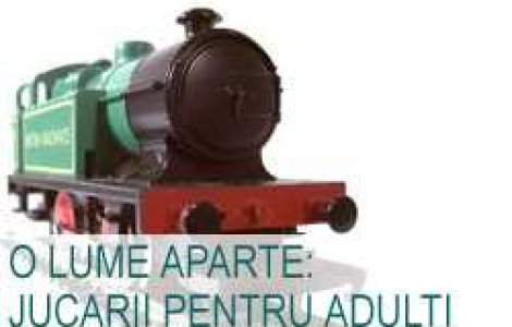 O lume aparte: jucarii pentru adulti