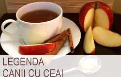 Legenda canii cu ceai
