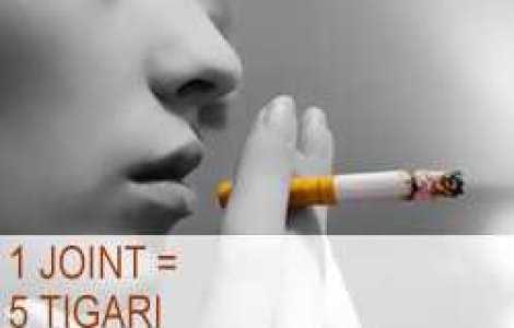 1 joint = 5 tigari