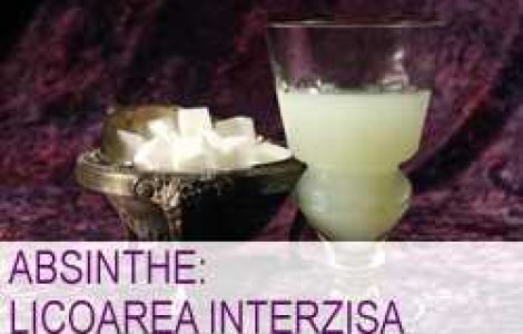 Absinthe: licoarea interzisa