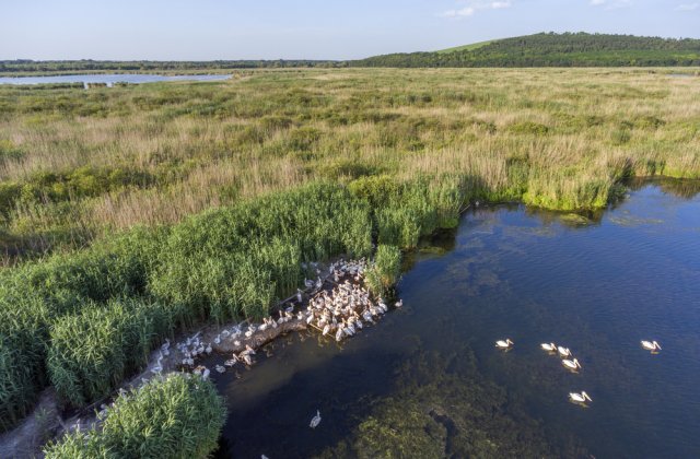 Ce să vizitezi în Dobrogea? 10 sfaturi pentru o vacanță reușită