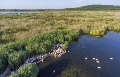 Ce să vizitezi în Dobrogea? 10 sfaturi pentru o vacanță reușită
