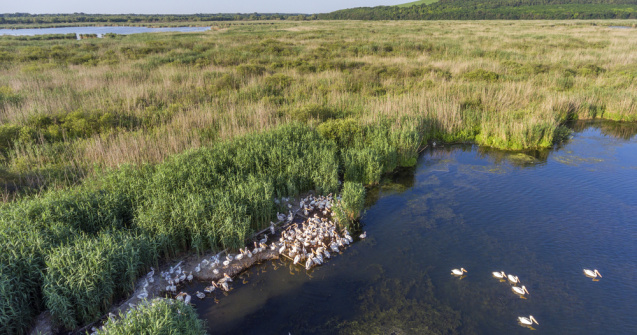 Ce să vizitezi în Dobrogea? 10 sfaturi pentru o vacanță reușită
