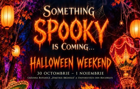 Lumina Park îmbracă un nou costum de Halloween