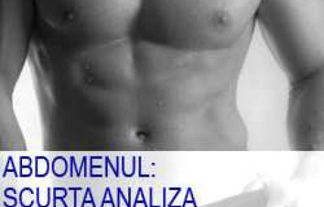 Abdomenul: Scurta analiza