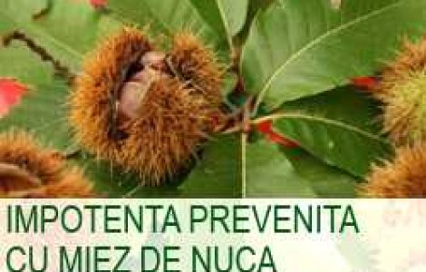Impotenta prevenita cu miez de nuca