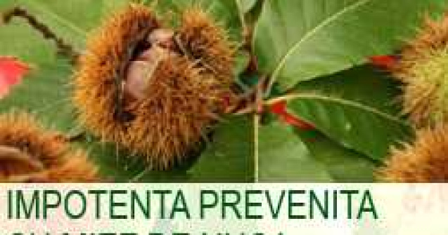 Impotenta prevenita cu miez de nuca