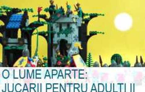 O lume aparte: Jucarii pentru adulti II