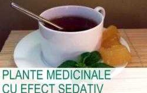 Plante medicinale cu efect sedativ