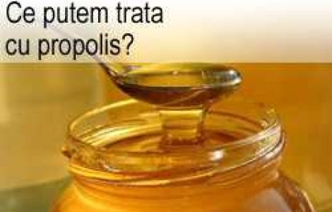Ce putem trata cu propolis?