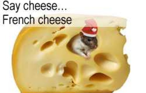 Say cheese&#8230; French cheese