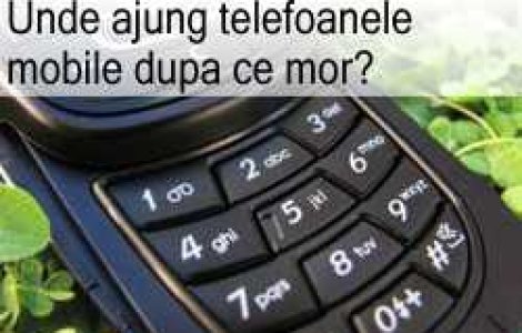 Unde ajung telefoanele mobile dupa ce mor?