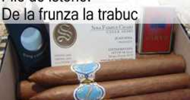 File de istorie: De la frunza la trabuc