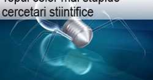 Topul celor mai stupide cercetari stiintifice