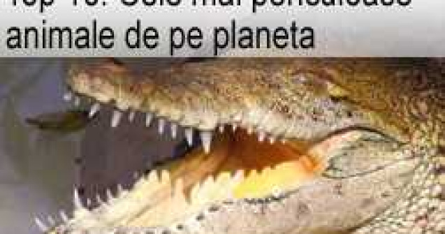 Top 10: Cele mai periculoase animale de pe planeta