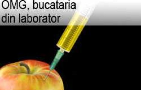 OMG, bucataria din laborator