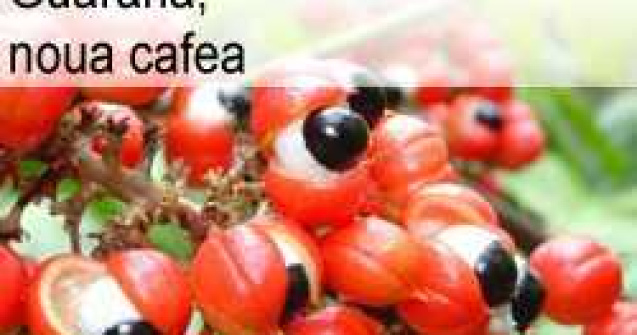 Guarana, noua cafea