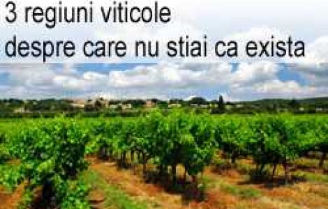 3 regiuni viticole despre care nu stiai ca exista