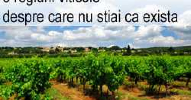 3 regiuni viticole despre care nu stiai ca exista