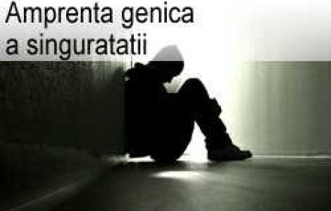 Amprenta genica a singuratatii