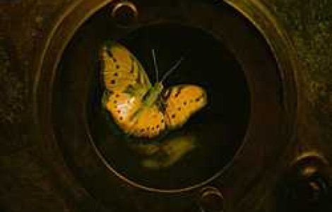 Scafandrul si fluturele se lanseaza pe DVD la Bookfest